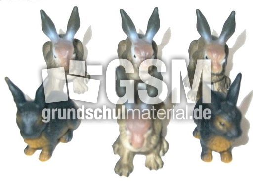 Hasen-6.jpg